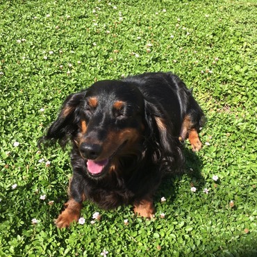 お庭で日向ぼっこ♡気持いい♡