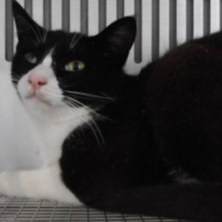 動物愛護団体様が引き出して下さいました。