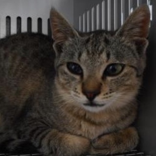 動物愛護団体様が引き出して下さいました。