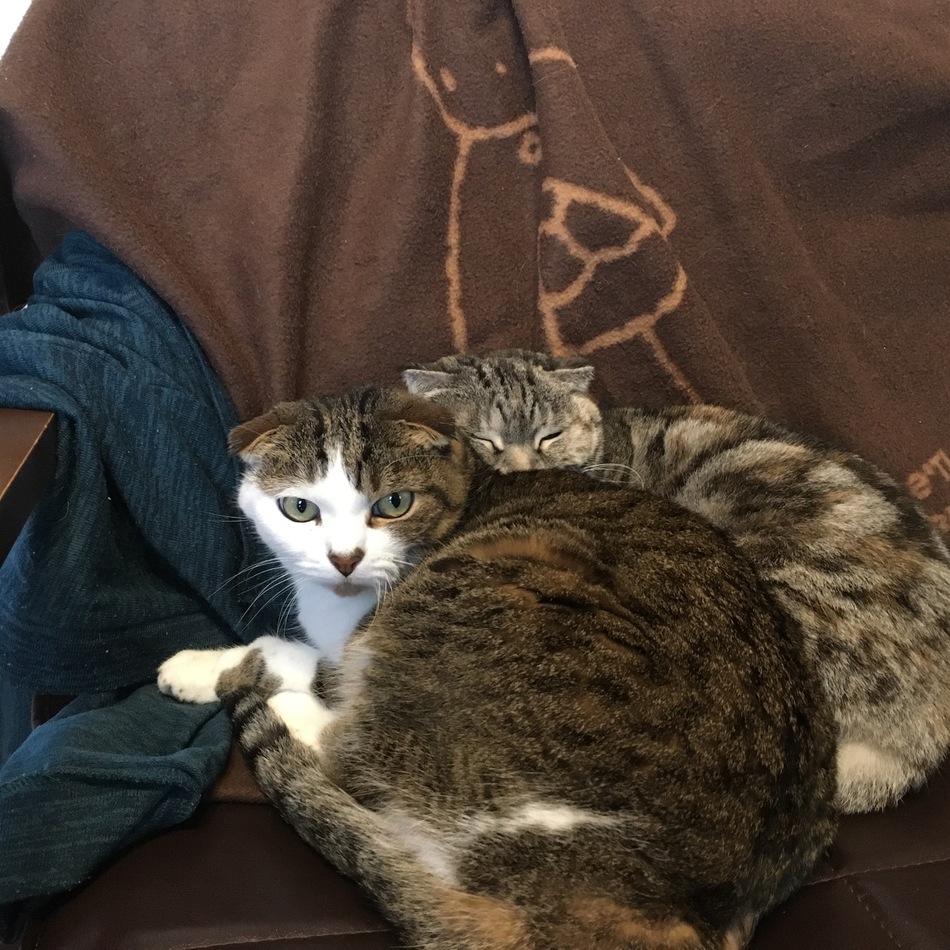 メイのカバー写真