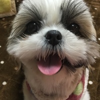 きら