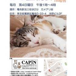 CAPIN ねこ里親会in亀有