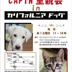 CAPINいぬねこ里親会inカリフォルニアドッグ
