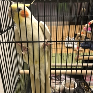 沢山のご応募有難うございました！