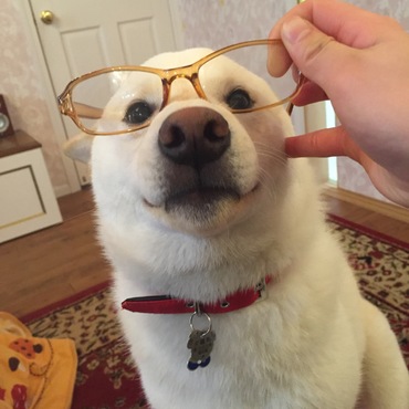 の写真