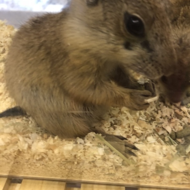 ちーたん。のカバー写真