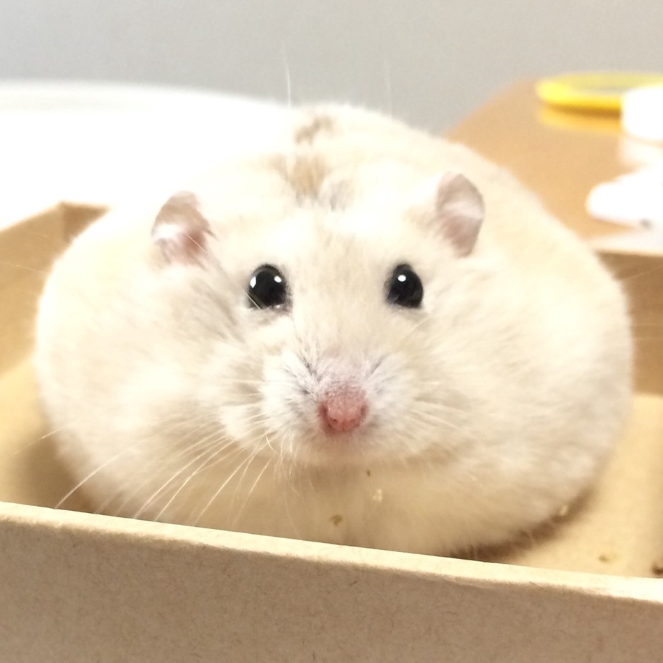 波無須田 カムイのカバー写真