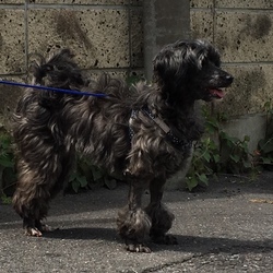 最近のお家事情