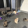 の写真