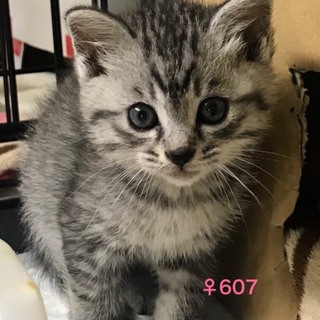 管理番号：OS−607