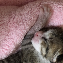 初めてのお留守番！