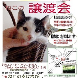 ねこの幸せさがし　譲渡会