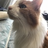 侑華