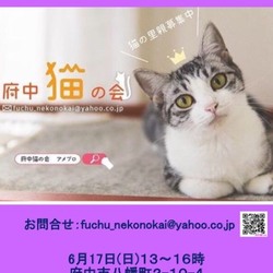 猫の譲渡会、開催【NPO法人 府中猫の会】