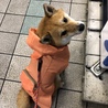 の写真