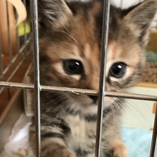 キュートな女の子！