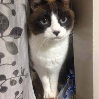 コウタ