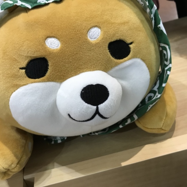 すぬやんのカバー写真