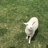 りえるmama
