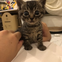 むー