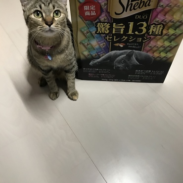 シーバ大好き