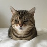の写真
