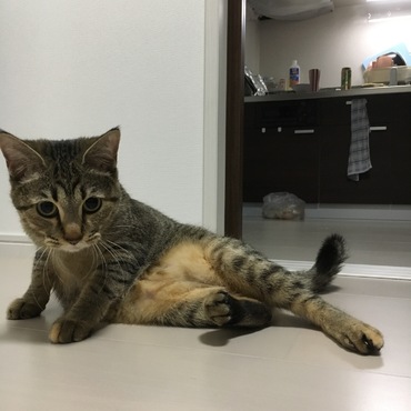 待望の巻頭デビュー
