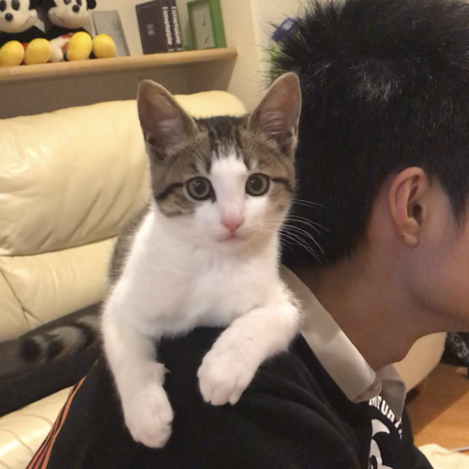 レオのカバー写真