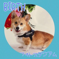 バース