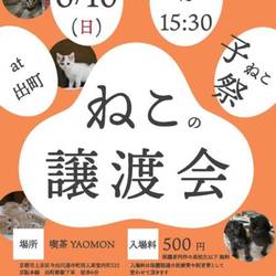 ねこの譲渡会@京都 出町商店街
