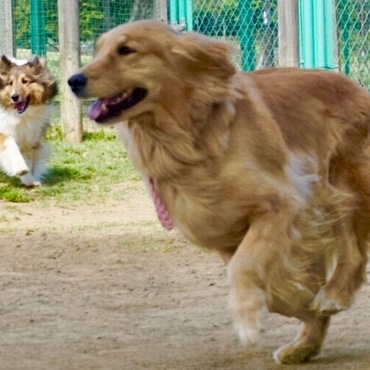 の写真