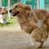 の写真