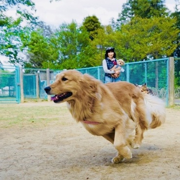 の写真