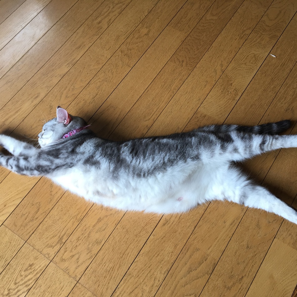 りあんのカバー写真