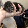 ろくく