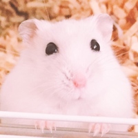ましろ