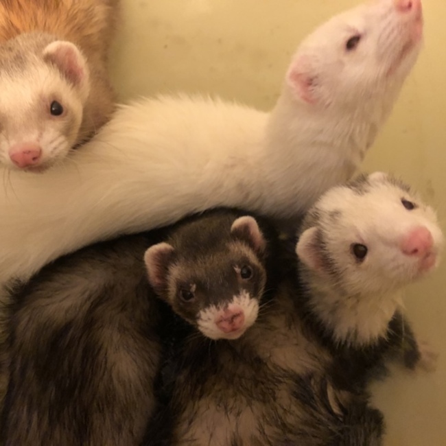 KAI88のカバー写真