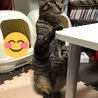 でっかくなったぜ