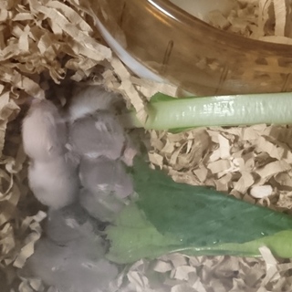 写メ更新しました