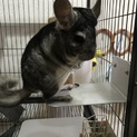 たくさんのお問い合わせありがとうございます。