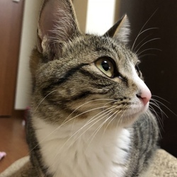 あれから