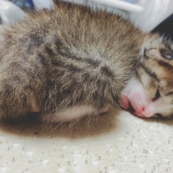 ぱっちりお目目♡？