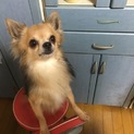 一時募集中断しましたｽｨﾏｾﾝ(;_;)