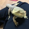 ぼっちゃん