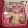 お部屋の準備OK