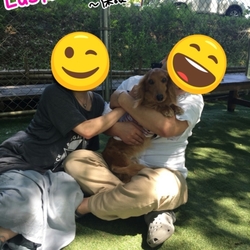 紬　ﾀﾞｯｸｽ　正式譲渡