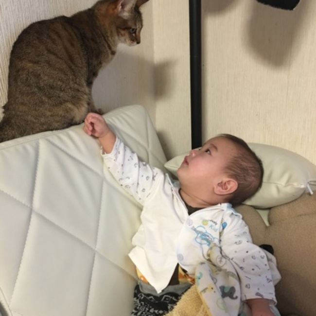 sasamiyのカバー写真