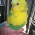 、