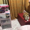 ソファーベッドの上のジェニファー