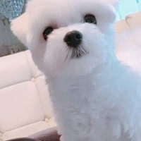 らんまる